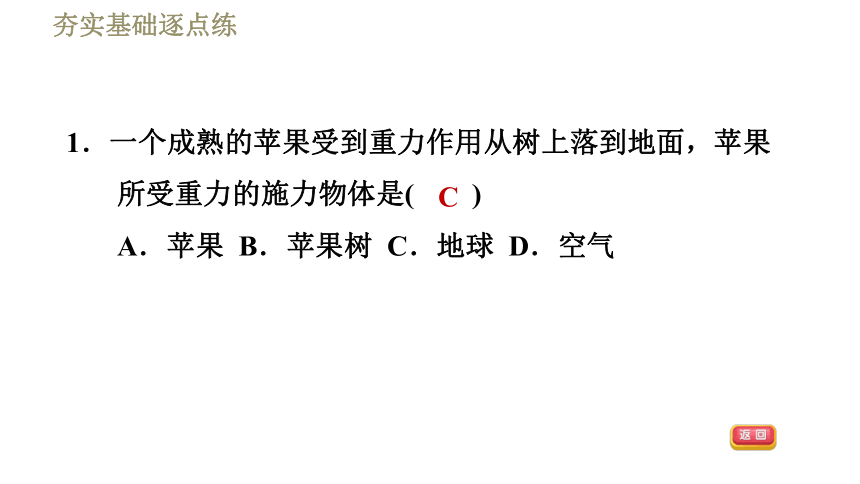 鲁科版八年级下册物理习题课件 第6章 6.3.1重力的大小（36张）