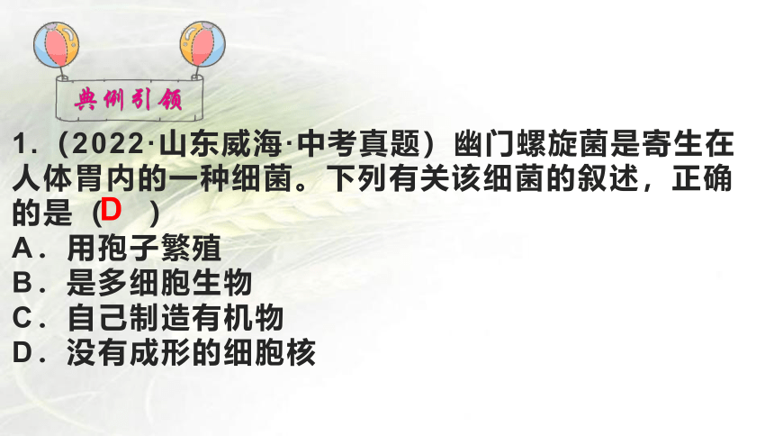 专题14 生物圈中的微生物（课件共30张PPT）-备战中考生物一轮复习考点（全国通用）