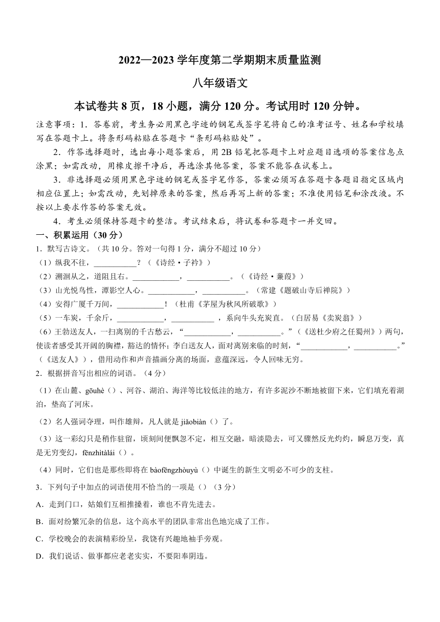 广东省阳江市阳西县2022-2023学年八年级下学期期末语文试题（含答案）