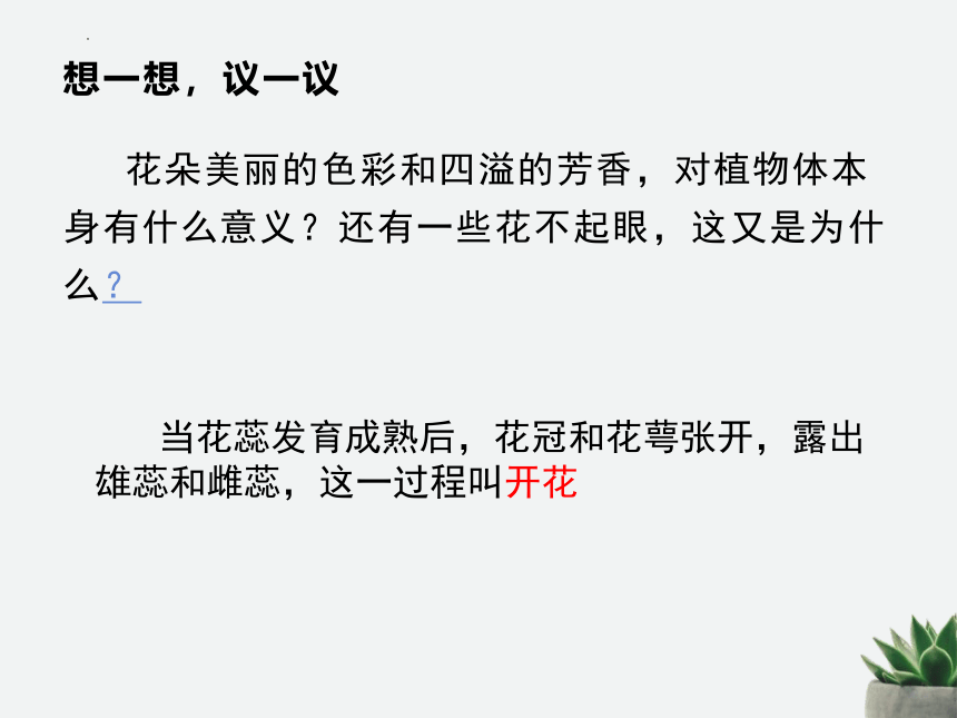 3.2.3开花和结果  课件(共27张PPT)2022-2023学年人教版七年级生物学上册