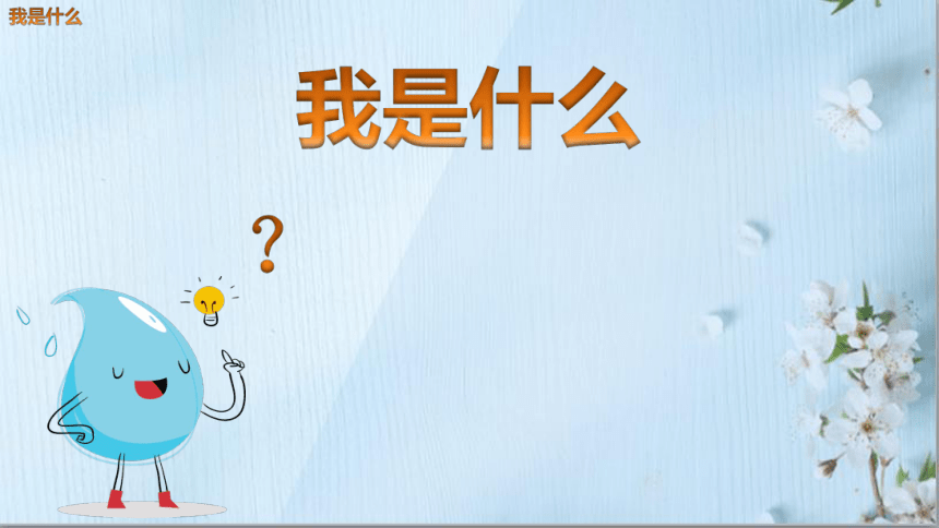 2 我是什么   课件(共34张PPT)