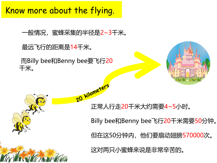 Unit3 Lesson18 Billy Bee 课件(共20张PPT)