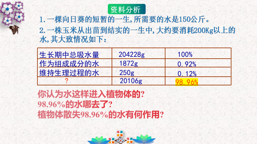 3.3 绿色植物与生物圈的水循环课件(共17张PPT)人教版七年级生物