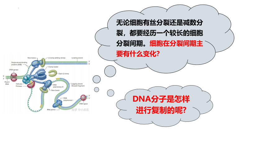 3.3DNA的复制课件(共50张PPT1份视频)