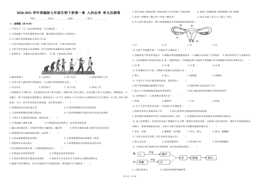 2020-2021学年人教版七年级生物下册 第一章 人的由来 单元自测卷（含答案）