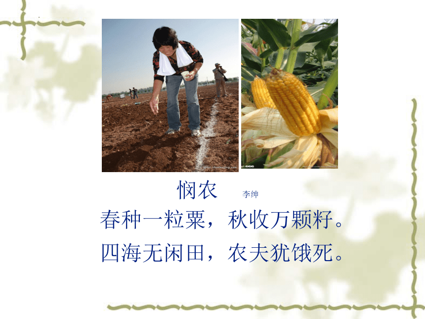 2022-2023学年北师大版生物学七年级上册 3.6.1.种子萌发形成幼苗  课件 (共46张PPT)