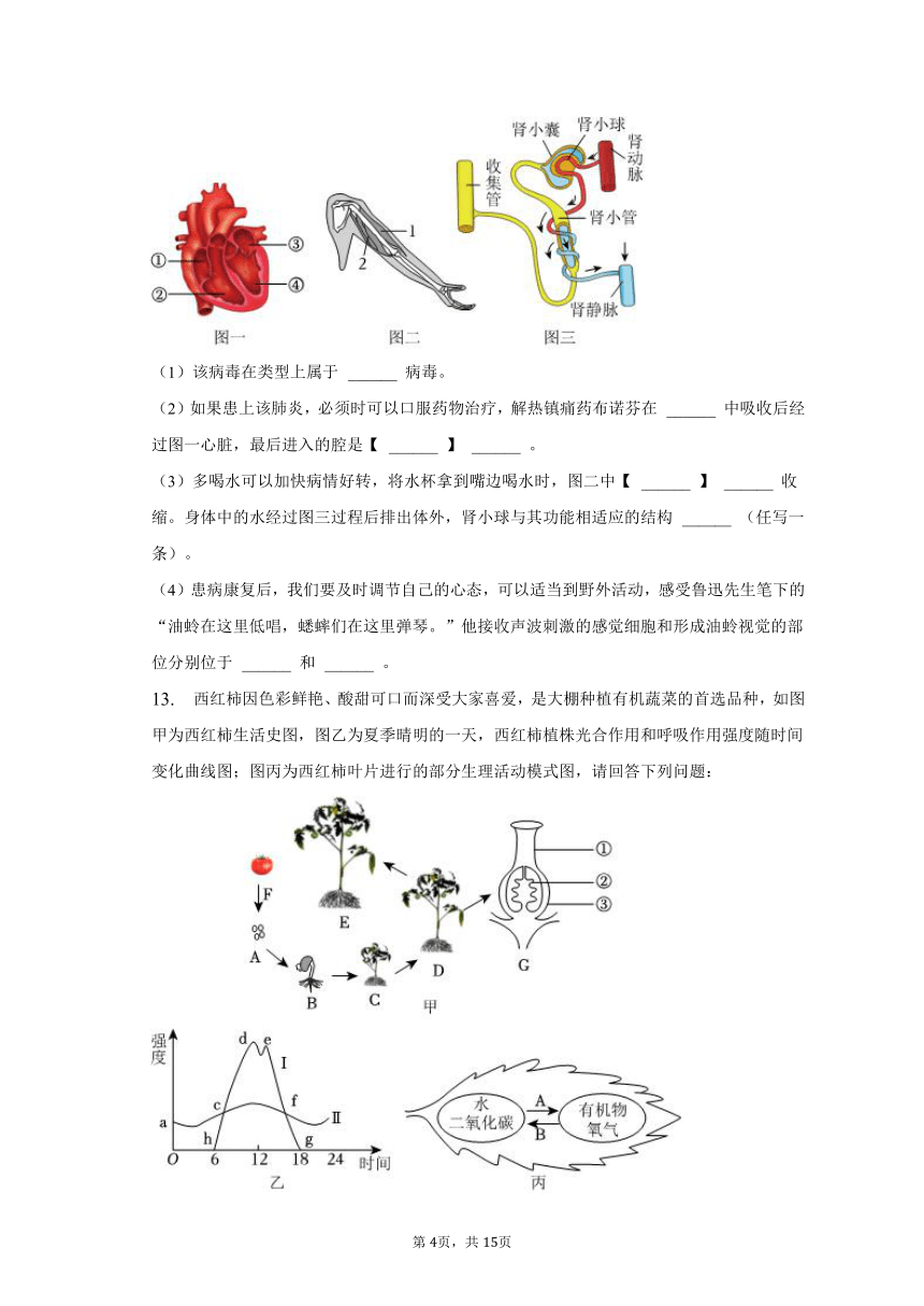 2023年湖北省恩施州建始县官店民族中学中考生物适应性试卷（含解析）