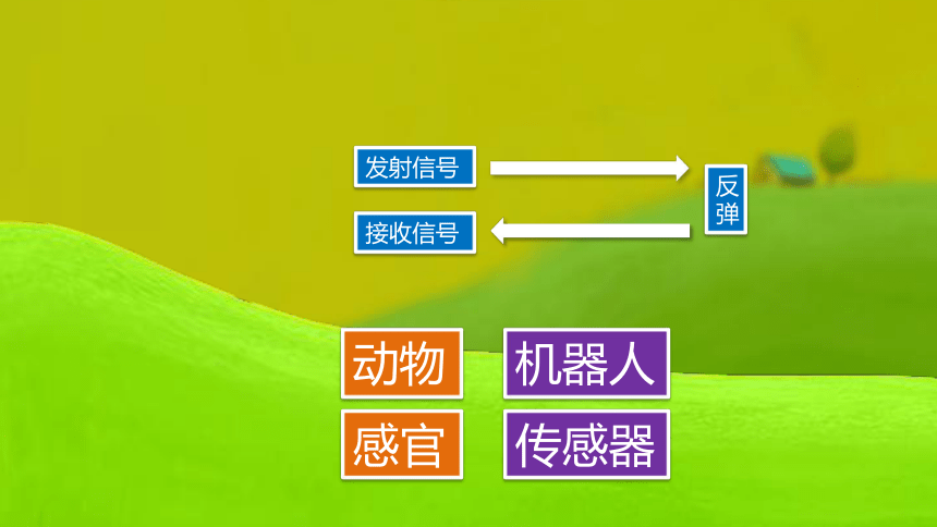 信息技术五年级上册 第五课 自动避障机器人 （课件）（8ppt）