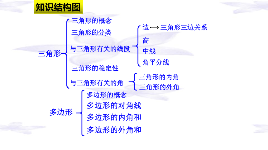 人教版八年级上册三角形复习课 课件(共20张PPT)