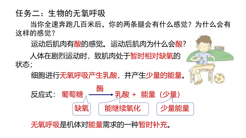 4.4 能量的获得(课件 21张PPT)