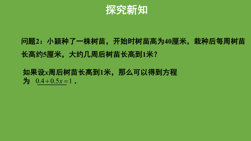 5.1《认识一元一次方程》第1课时教学课件 (共25张PPT)数学北师大版 七年级上册