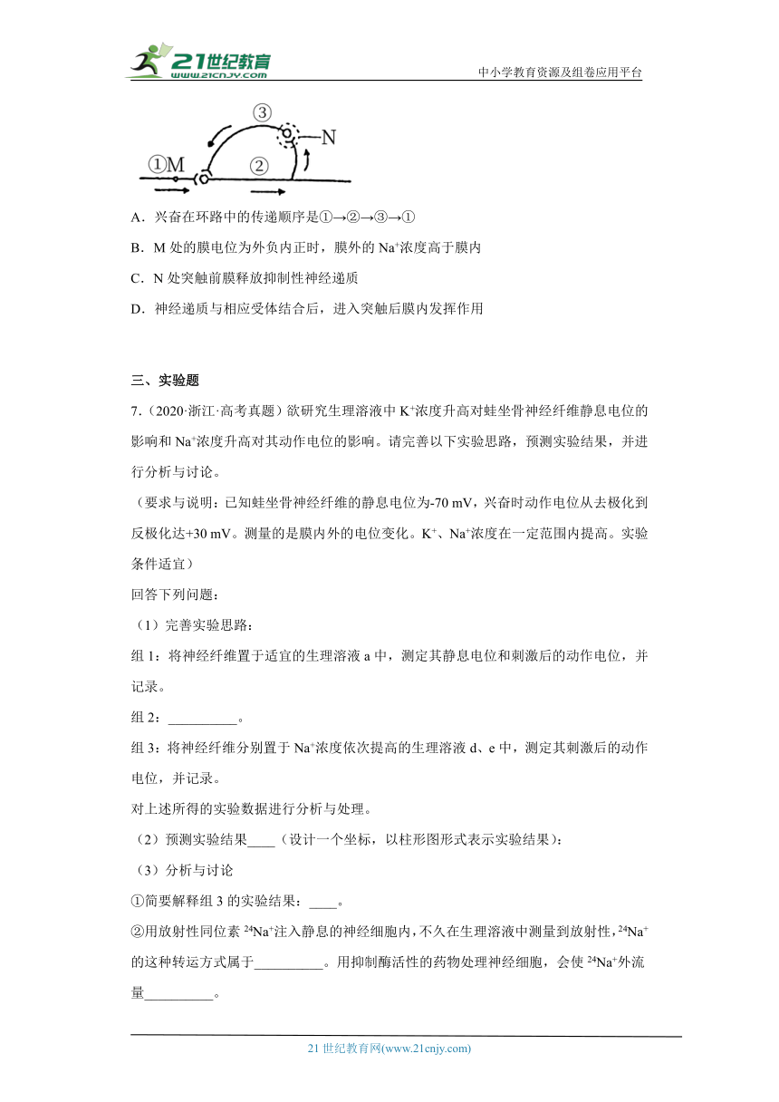 五年2018-2022高考生物真题按知识点分类汇编57-膜电位的变化及相关曲线、兴奋的传导和传递实验、药物对兴奋传导和传递的影响（含解析）