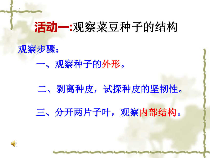 2022-2023学年北师大版生物学七年级上册 3.6.1.种子萌发形成幼苗  课件 (共46张PPT)