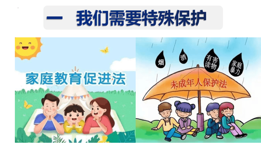 10.1 法律为我们护航 课件（43张幻灯片）+内嵌视频