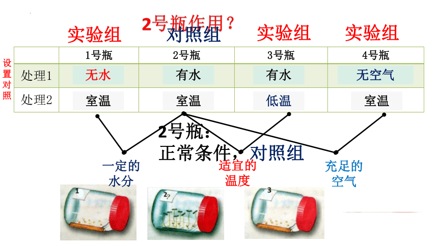 3.2.1种子的萌发课件(共19张PPT)2022-2023学年七年级人教版生物上册