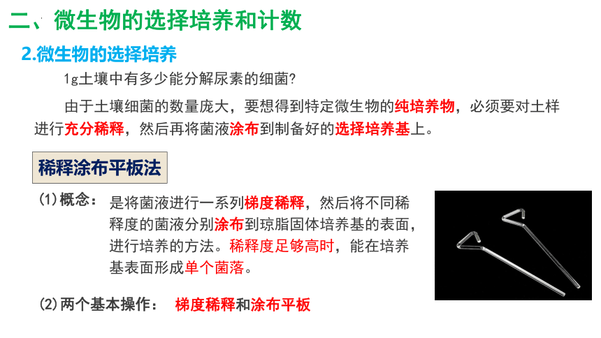 1.2.2微生物的培养技术及应用课件2(共29张PPT)022-2023学年高二下学期生物人教版选择性必修3