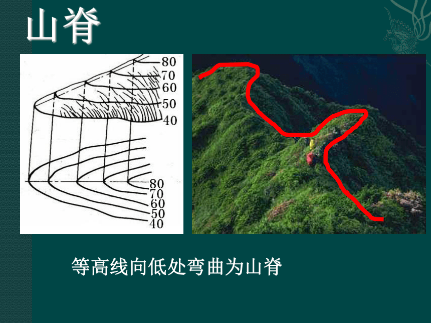 1.4 地形图的判读课件2022-2023学年上册人教版七年级地理(共24张PPT)