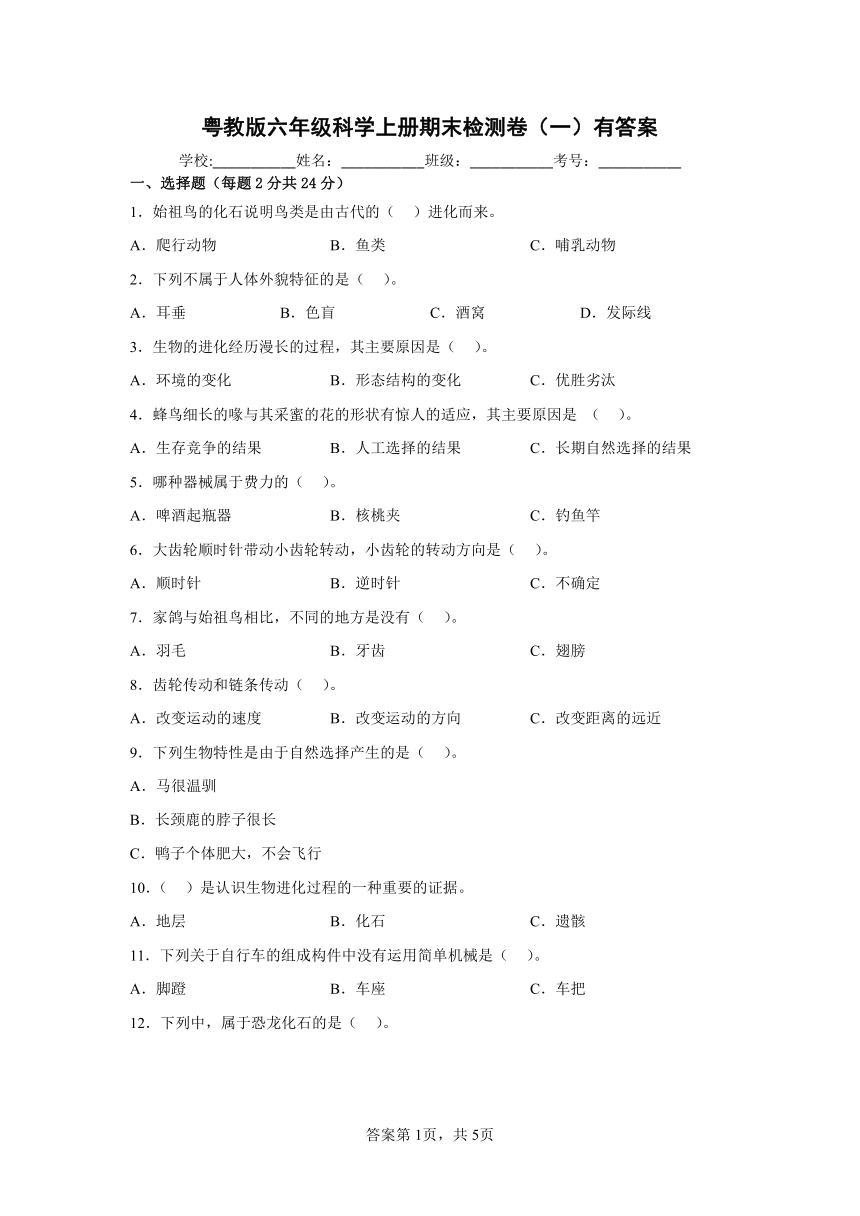 粤教粤科版（2017秋）  科学 六年级上册 期末检测卷（一）（含答案）