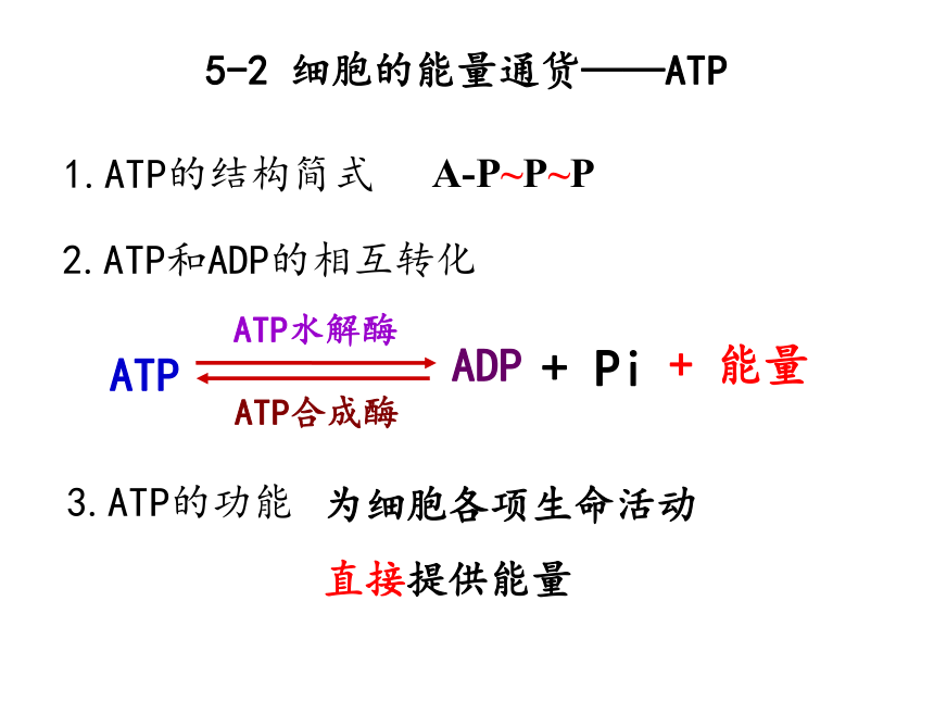新人教版生物高中必修1《5-3  ATP的主要来源――细胞呼吸 》(59张PPT)