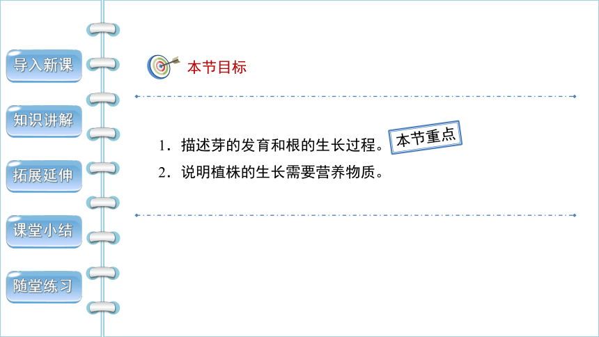 人教版生物七年级上册 3.2.2 植株的生长 2022--2023学年课件 (共29张PPT)