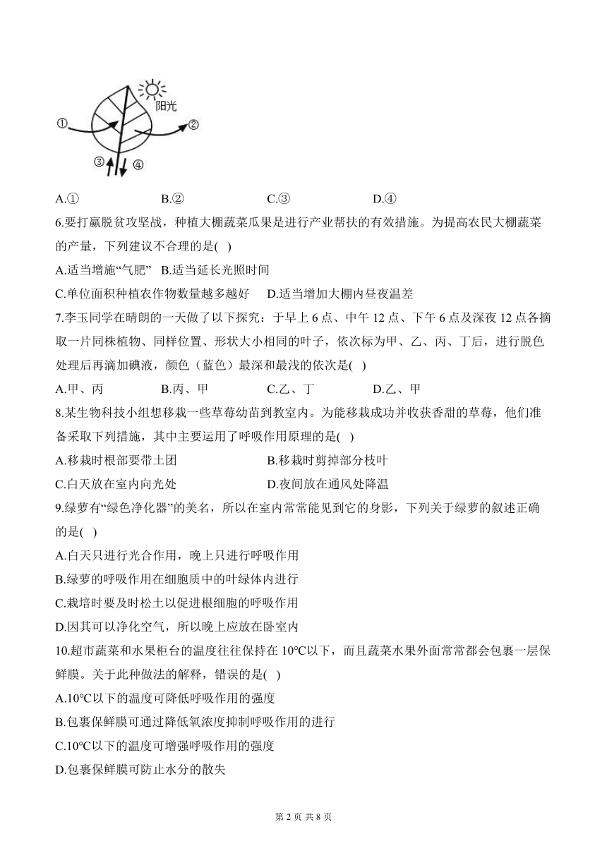 （4）生物圈中的绿色植物（二）——2024届中考生物一轮复习小题集训（含解析）