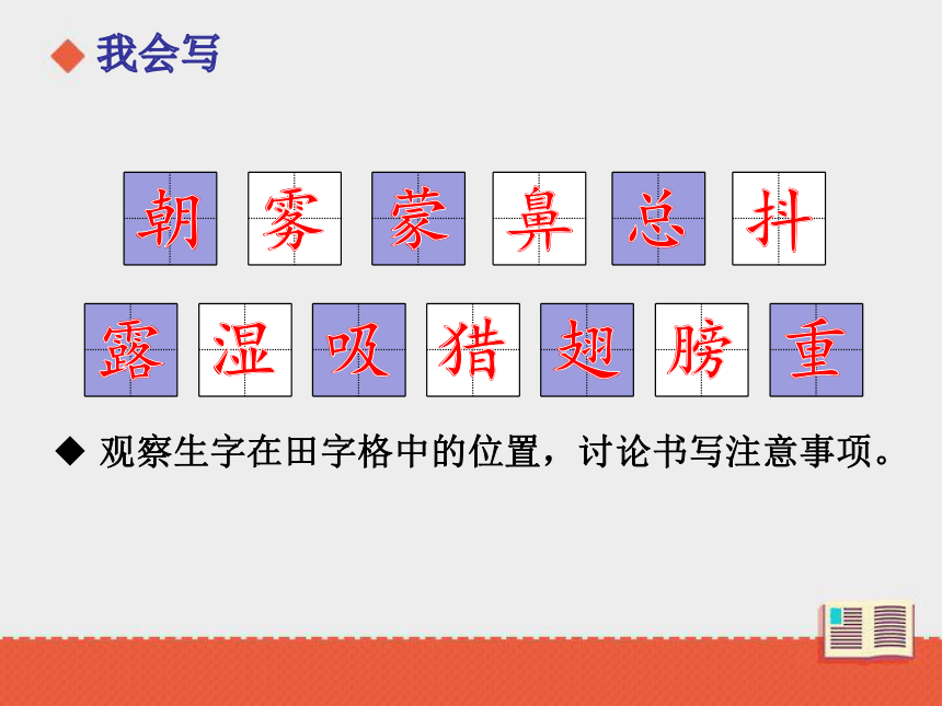 23《父亲、树林和鸟》课件  （62张）