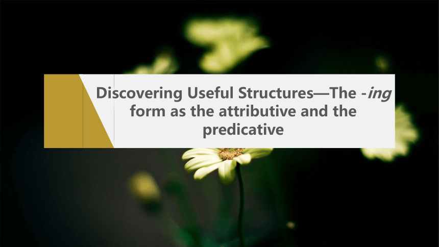 Unit 1Discovering Useful Structures(课件)（共16张PPT）人教版（2019） 必修第三册