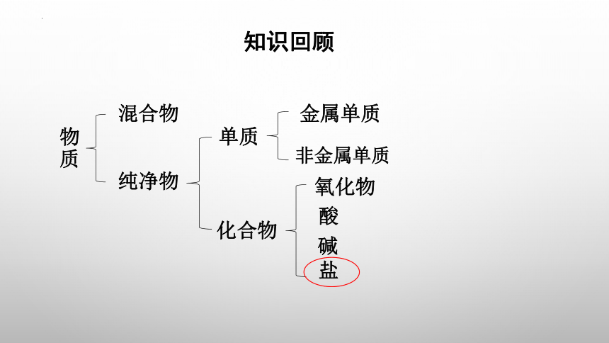 第十一单元课题1 生活中常见的盐（一）课件(共38张PPT)-2023-2024年九年级化学人教版下册