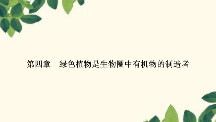 人教版生物七年级上册 第四章　绿色植物是生物圈中有机物的制造者 课件（共21张PPT）