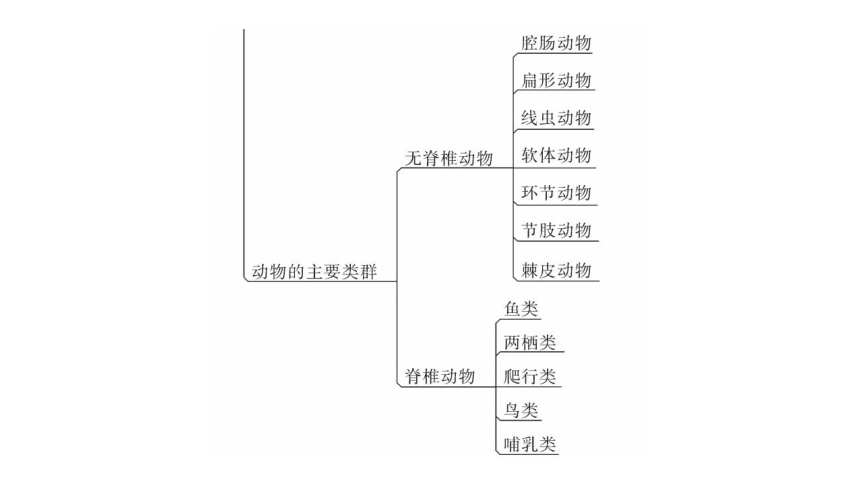 22 章末总结 课件 2020-2021学年八年级生物下册（北师大版）（36张PPT）