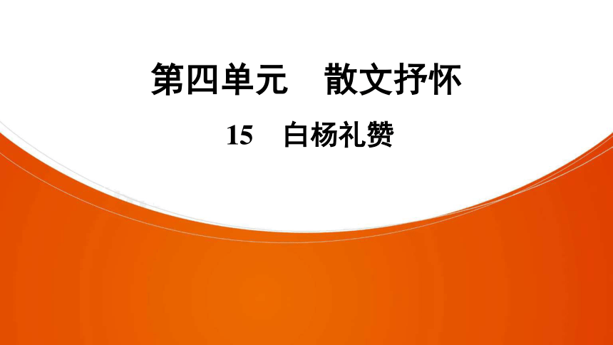 15 白杨礼赞习题课件（共49张幻灯片）