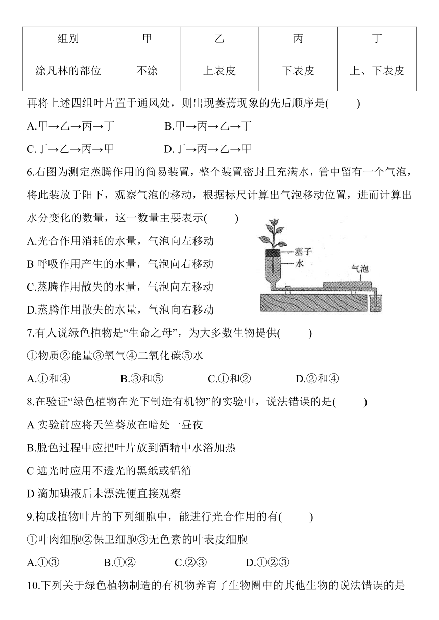 人教版七年级生物上册第三单元生物圈中的绿色植物（第三～六章）检测题(word版含解析)