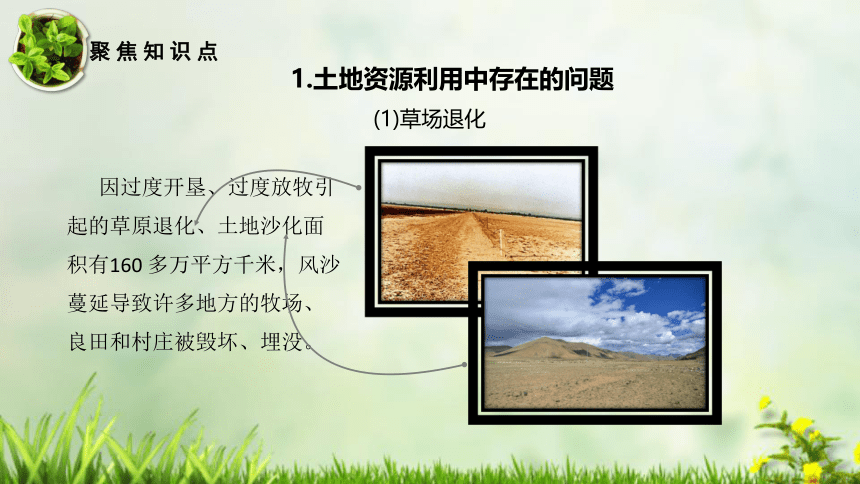 初中地理八上知识点课件 125 合理利用每一寸土地-中国的自然资源
