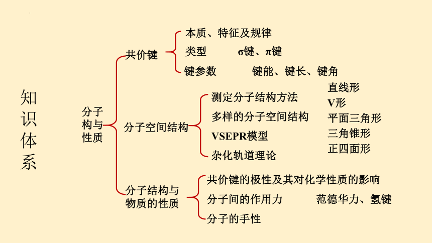 第二章 分子结构与性质 整理与提升-高二化学课件（人教版2019选择性必修2）（共33张PPT）