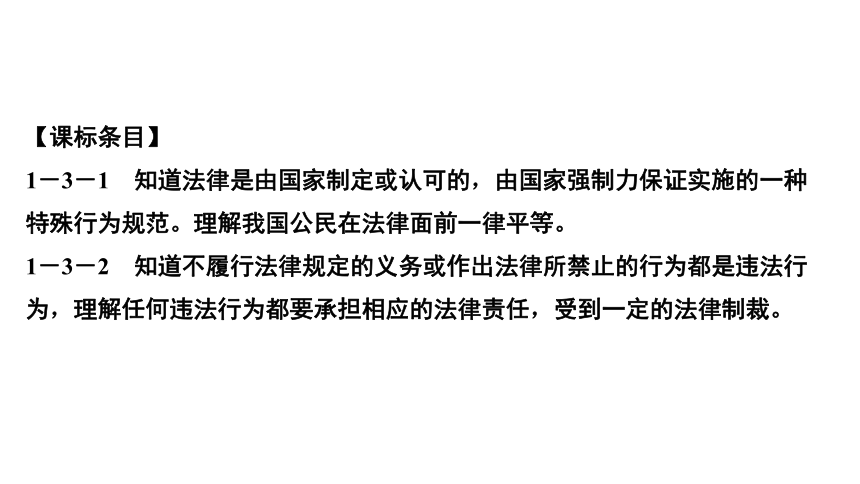 专题一　走进法治天地 练习课件-2021届中考历史与社会一轮复习（金华专版）（43张PPT）