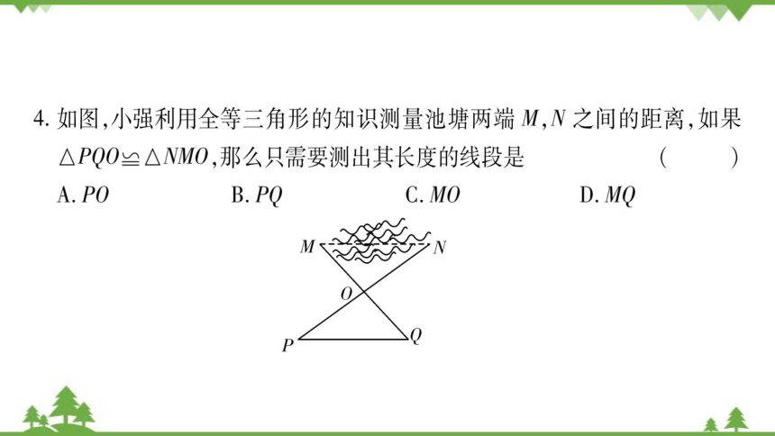 华东师大版数学七年级下册 10.5 图形的全等 课件(共24张PPT)