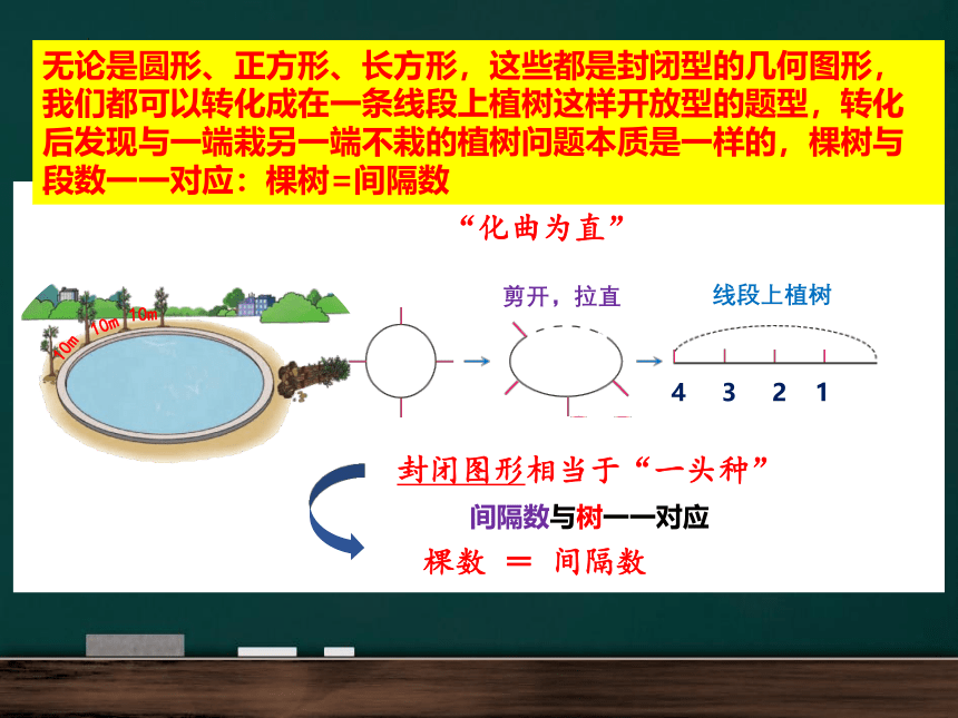 人教版五年级上册数学 数学广角-植树问题 练习二十四 课件 (共20张PPT)