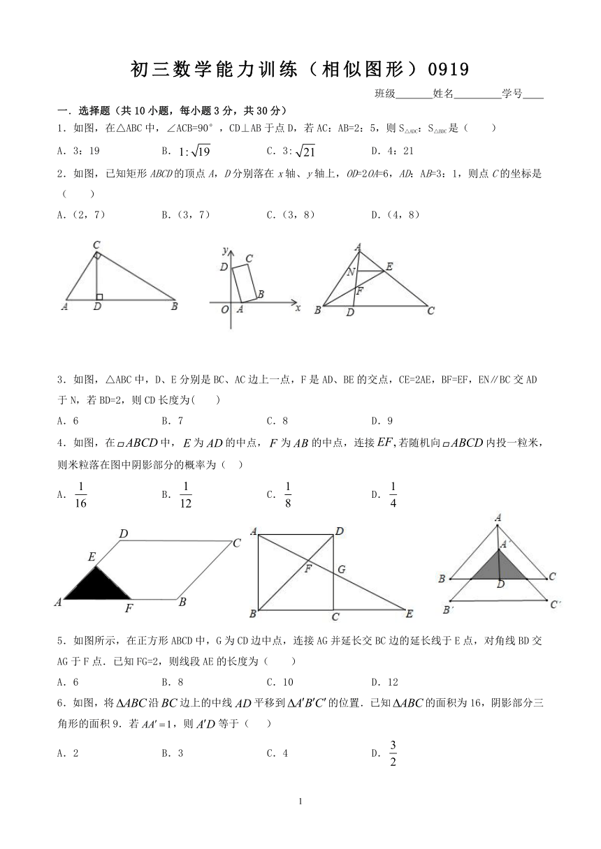 苏科版九年级数学下册第六章 图形的相似能力训练（Word版 含简略答案）