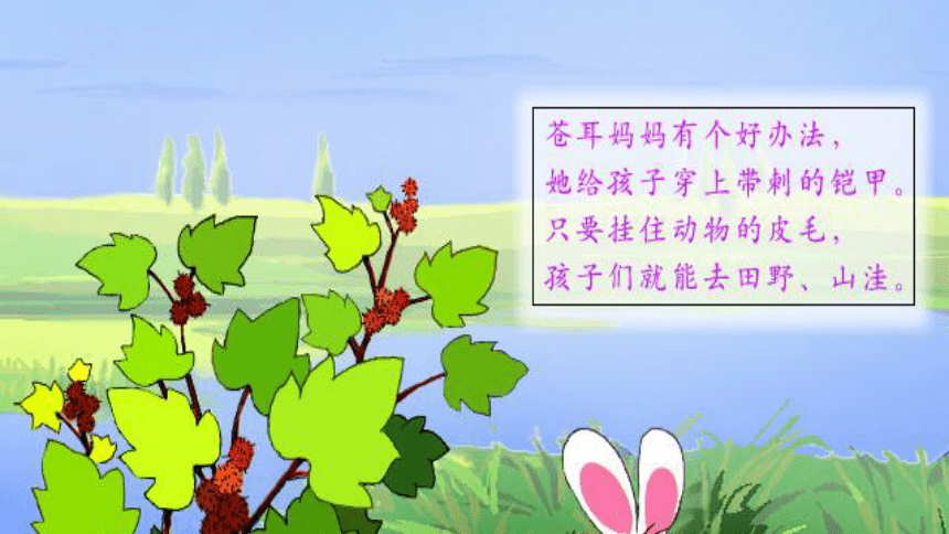 3 植物妈妈有办法 第二课时（课件）(共14张PPT)