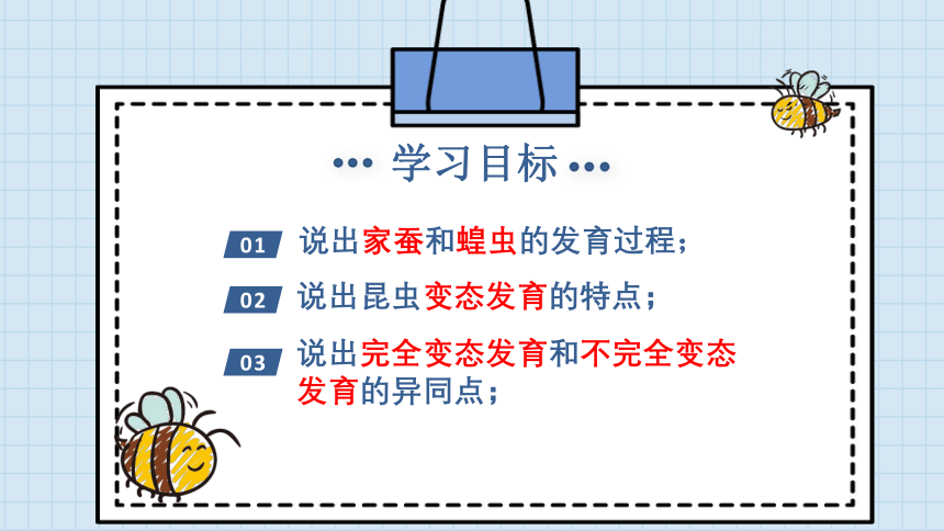 7.1.2 昆虫的生殖和发育课件（17张PPT）2022--2023学年人教版生物八年级下册