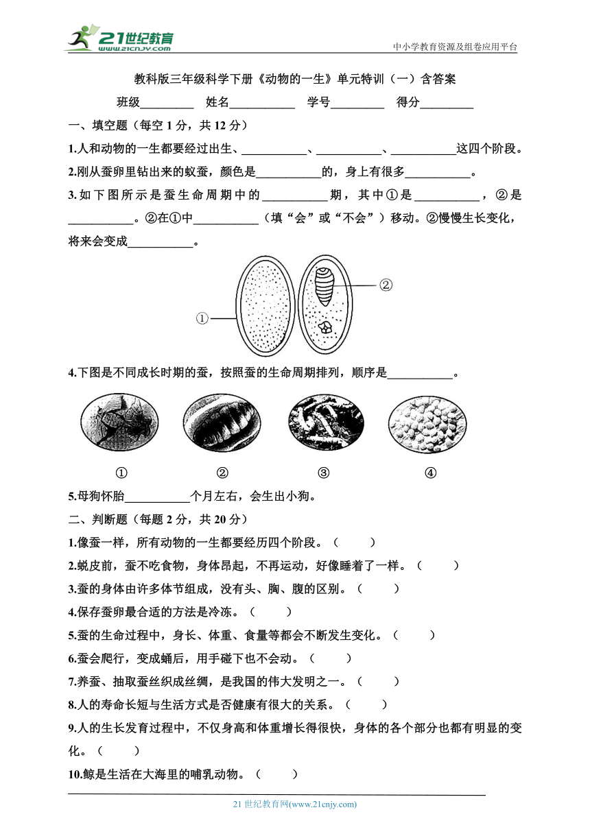 教科版三年级科学下册《动物的一生》单元特训（一）含答案