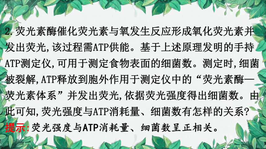 浙科版（2019）生物必修一 第三章第一节 ATP是细胞内的“能量通货”课件(共31张PPT)