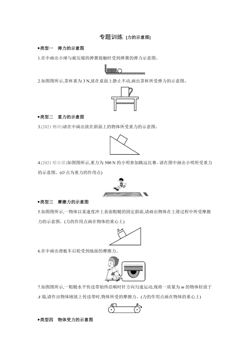 北师大版物理八年级下册课课练：专题训练 力的示意图 （含答案）