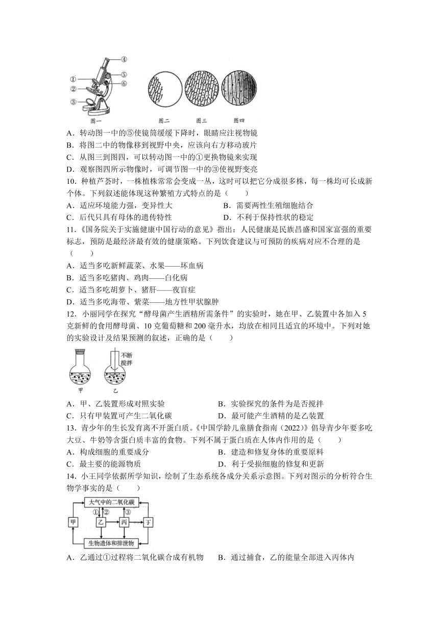 2022年山东省青岛市中考生物真题(无答案)