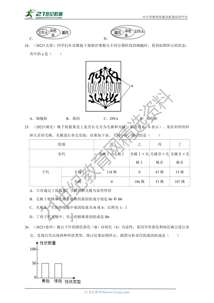 【备考2023】2022年中考生物真题分类汇编9——生物的遗传和变异部分（含解析）