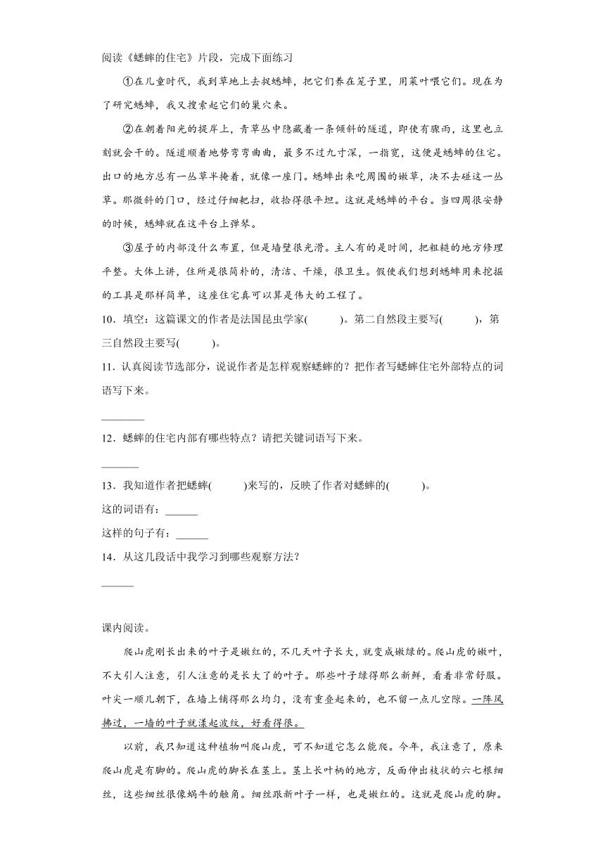 部编版四年级上册语文第三单元单元综合练（含解析）