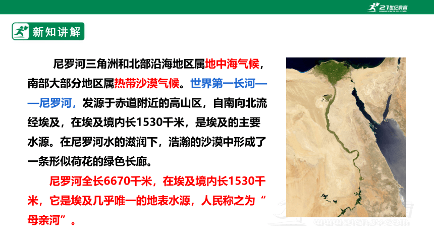 【新课标】7.6  埃及 课件（40页）