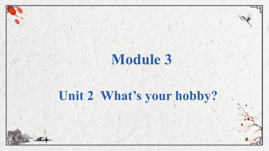 Module 3 Unit 2 What's your hobby课件（19张PPT)