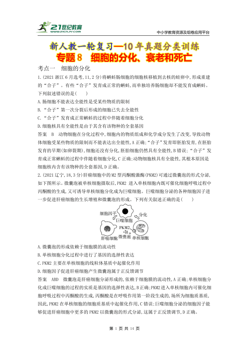 新人教一轮复习-10年真题分类训练：专题8 细胞的分化、衰老和死亡（Word版含解析）