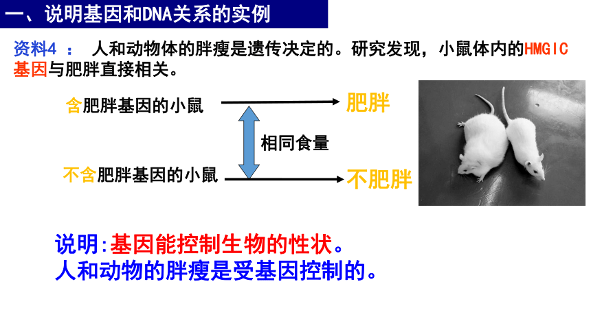 2020——2021学年高一下学期生物人教版必修2  3.4基因是有遗传效应的DNA片段  课件(共29张PPT)